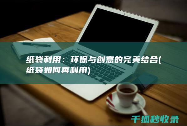 纸袋利用：环保与创意的完美结合 (纸袋如何再利用)