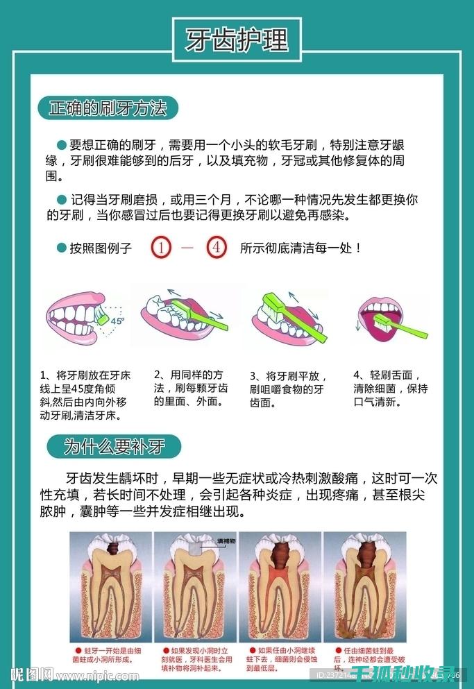 牙齿日常小常识