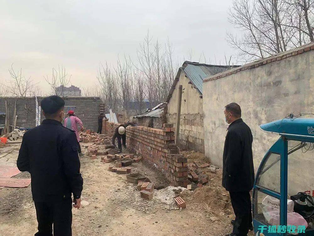 律师建议与实际案例分享