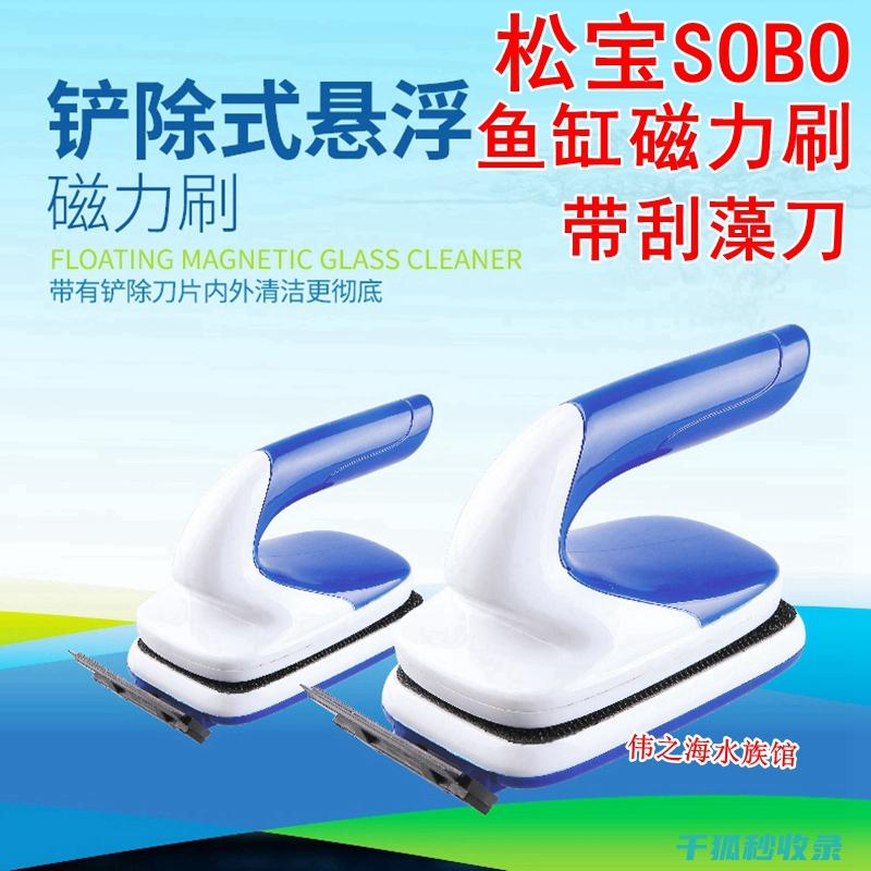 水族箱清洁技巧：如何安全移除水草污垢 (水族箱清洁技术规范)
