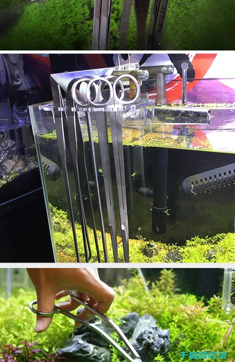 水族箱技巧