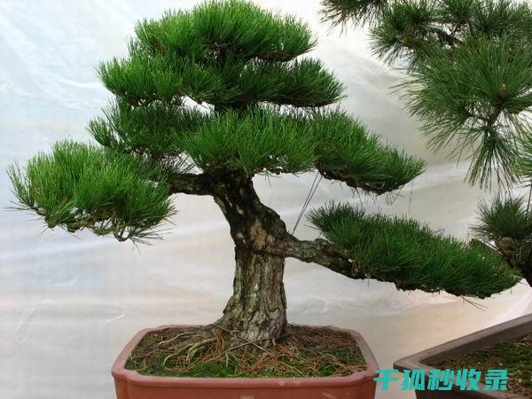 植物病虫害防治