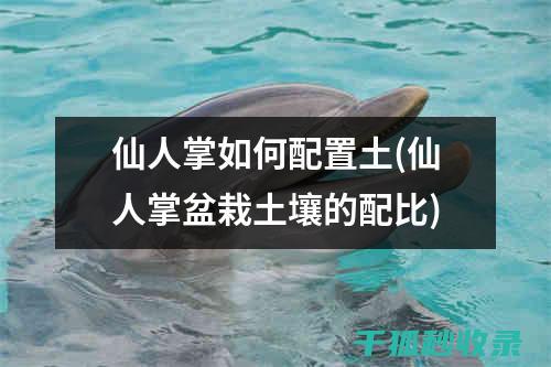 盆栽土壤配比技巧：适合不同植物的科学配方 (盆栽土壤配比方法)