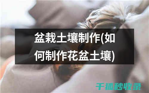 盆栽土壤配比：让室内植物焕发勃勃生机的方法 (盆栽土壤配比标准)