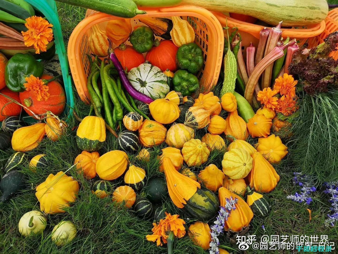 食用油保存的注意事项 (食用油保存的正确方法)
