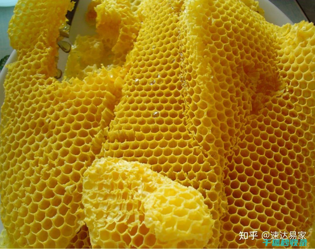 地板打蜡：从基础到进阶的全面指南 (地板地面打蜡)